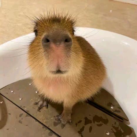 栗子色