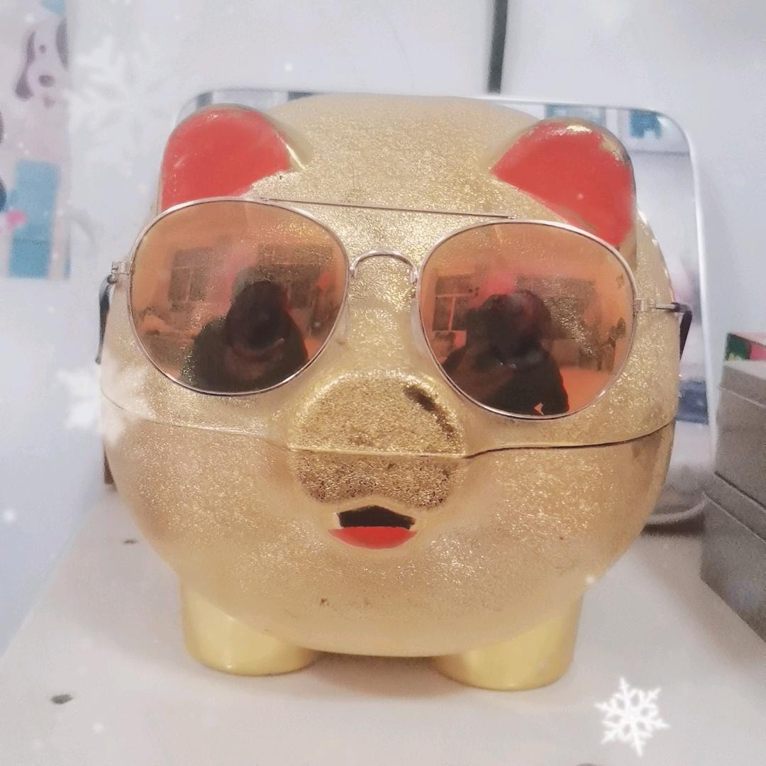 大鹏来了