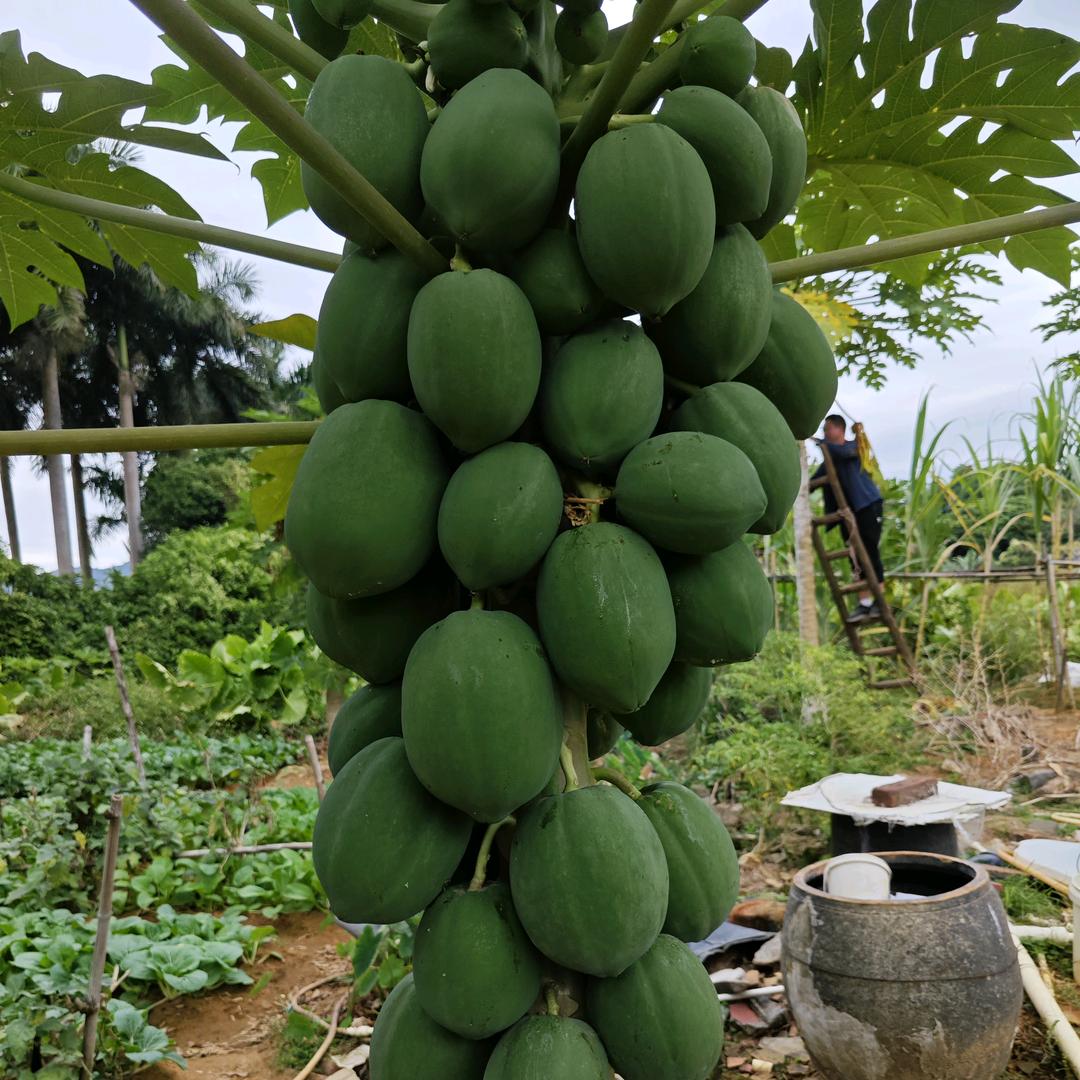 75年兔姐姐，做个快乐的奶奶