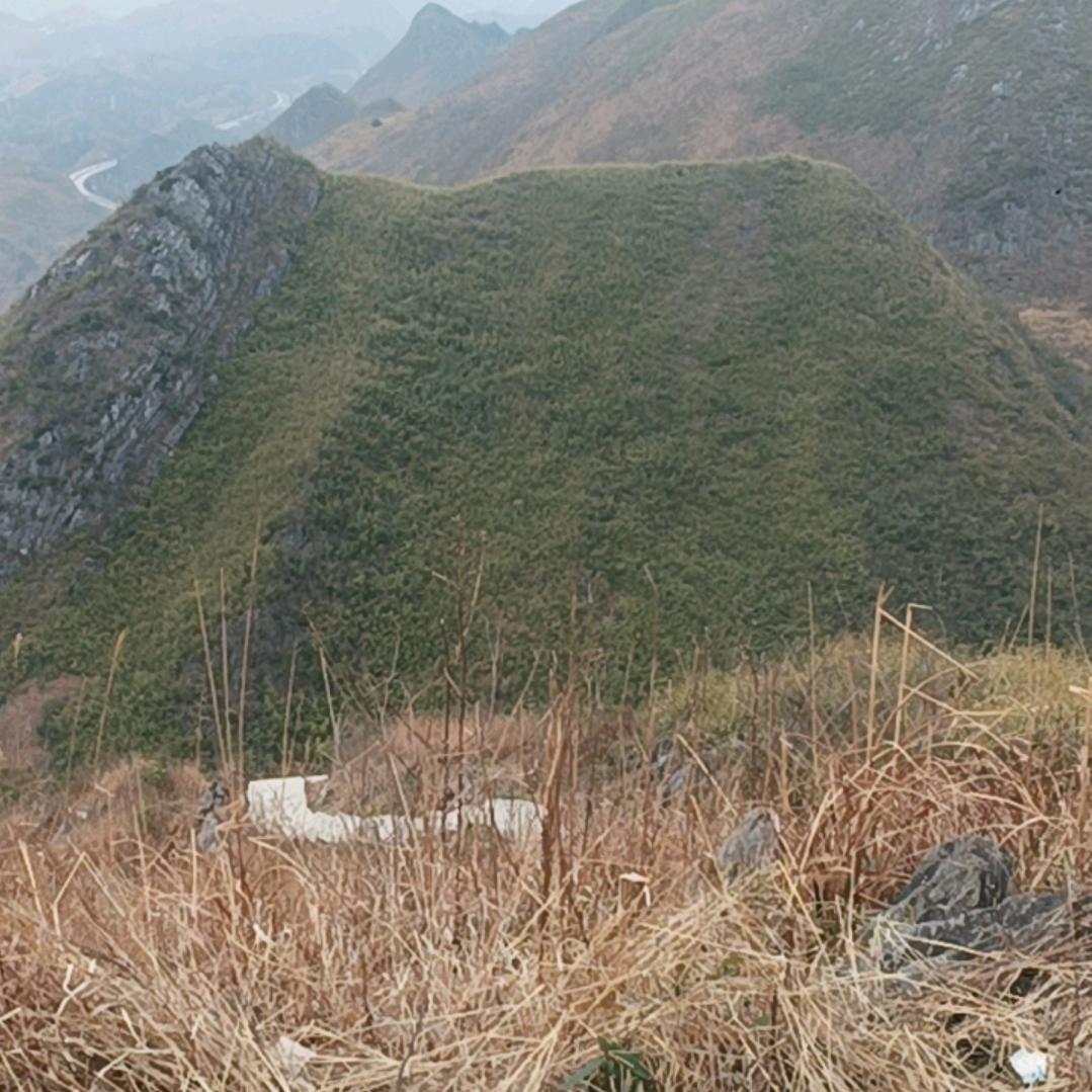 风雨过后