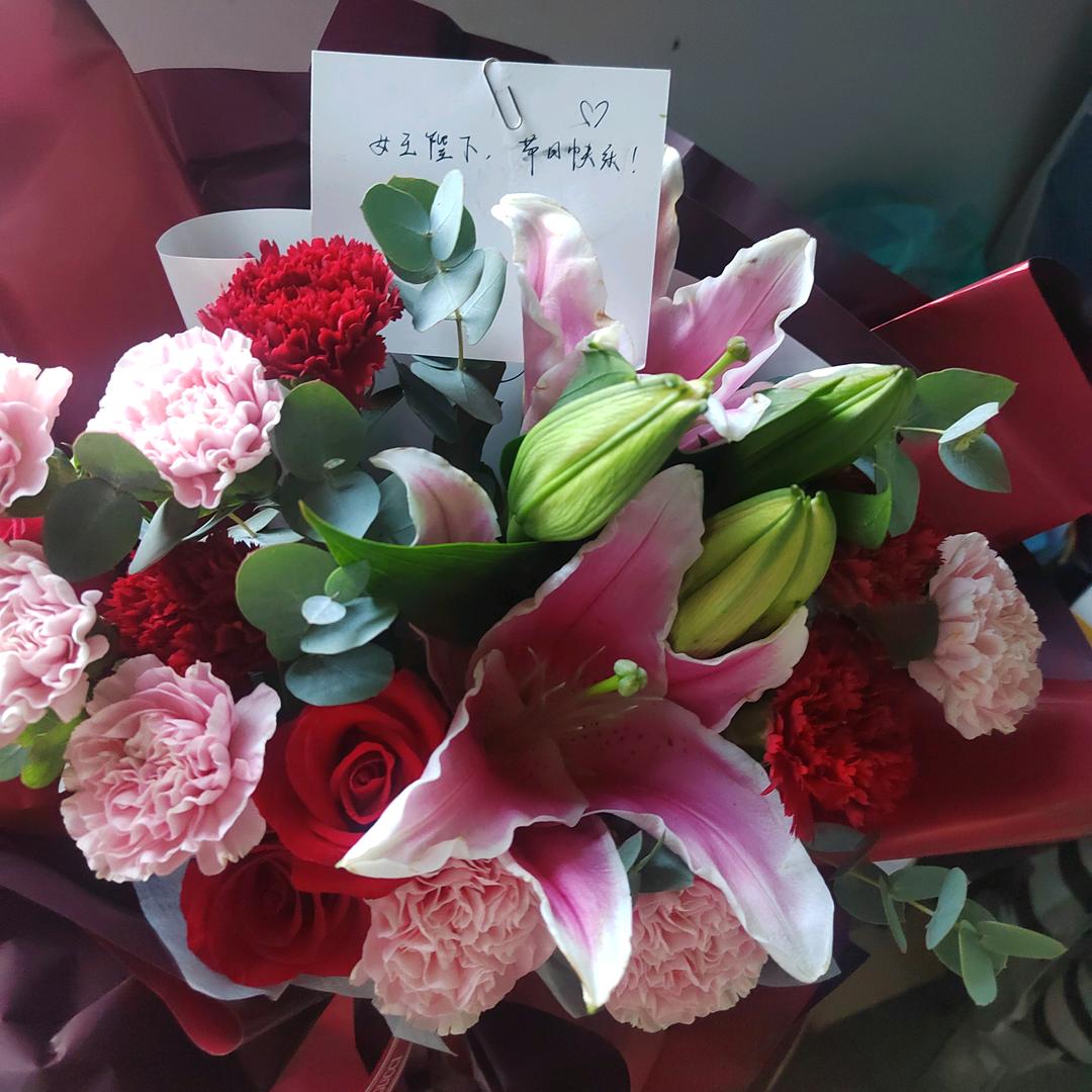 不吃饭的蛐蛐儿