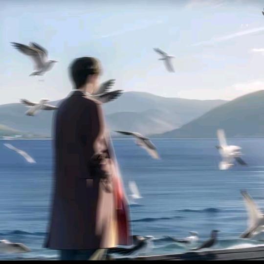 汇琛脆德宣钢材立广直播号