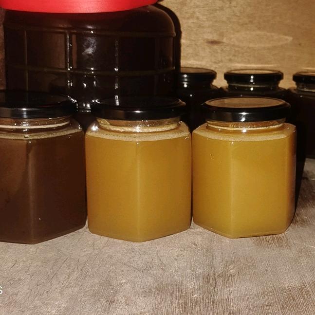 与蜂有缘🐝🐝🐝