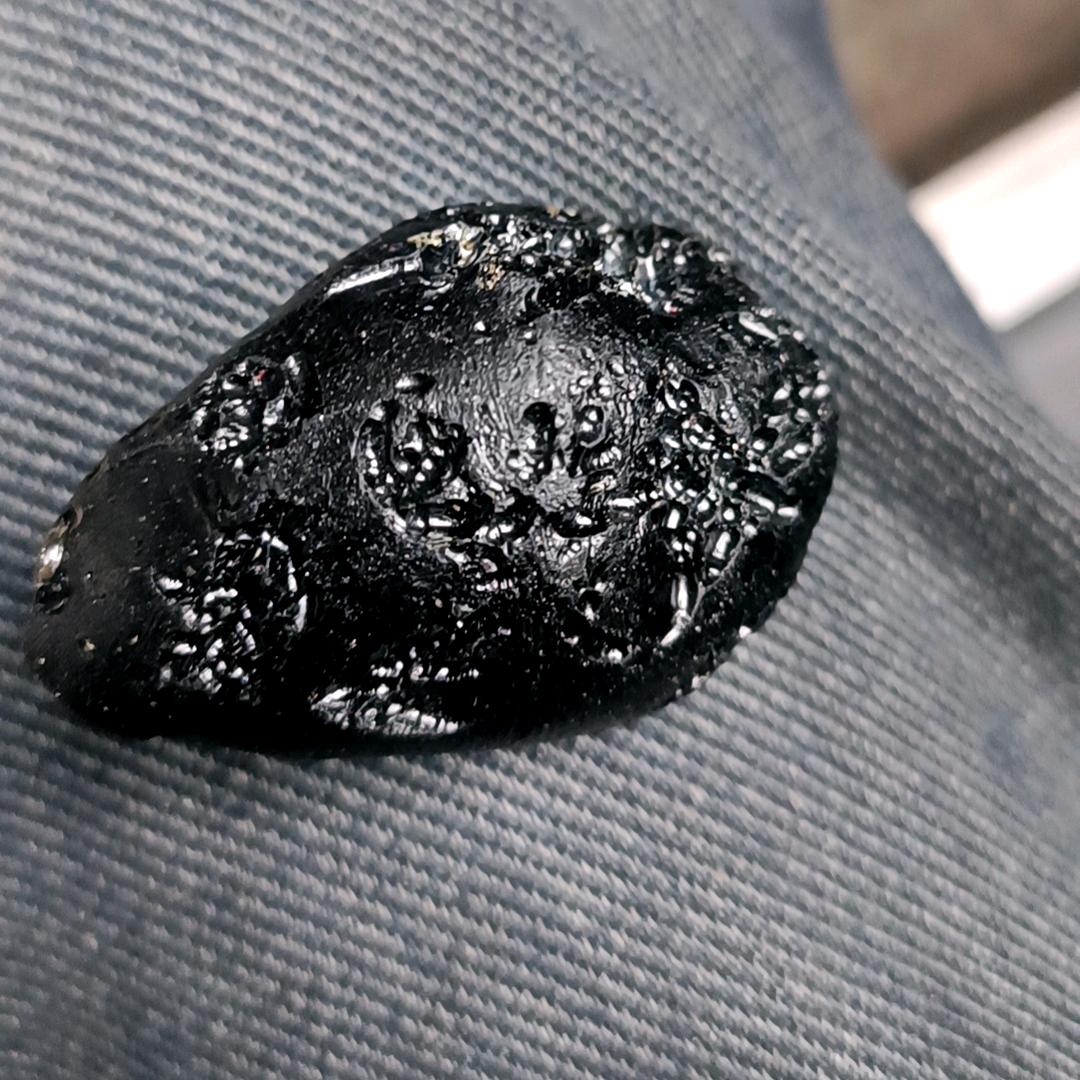 ✨⭐二公子🍃🍂