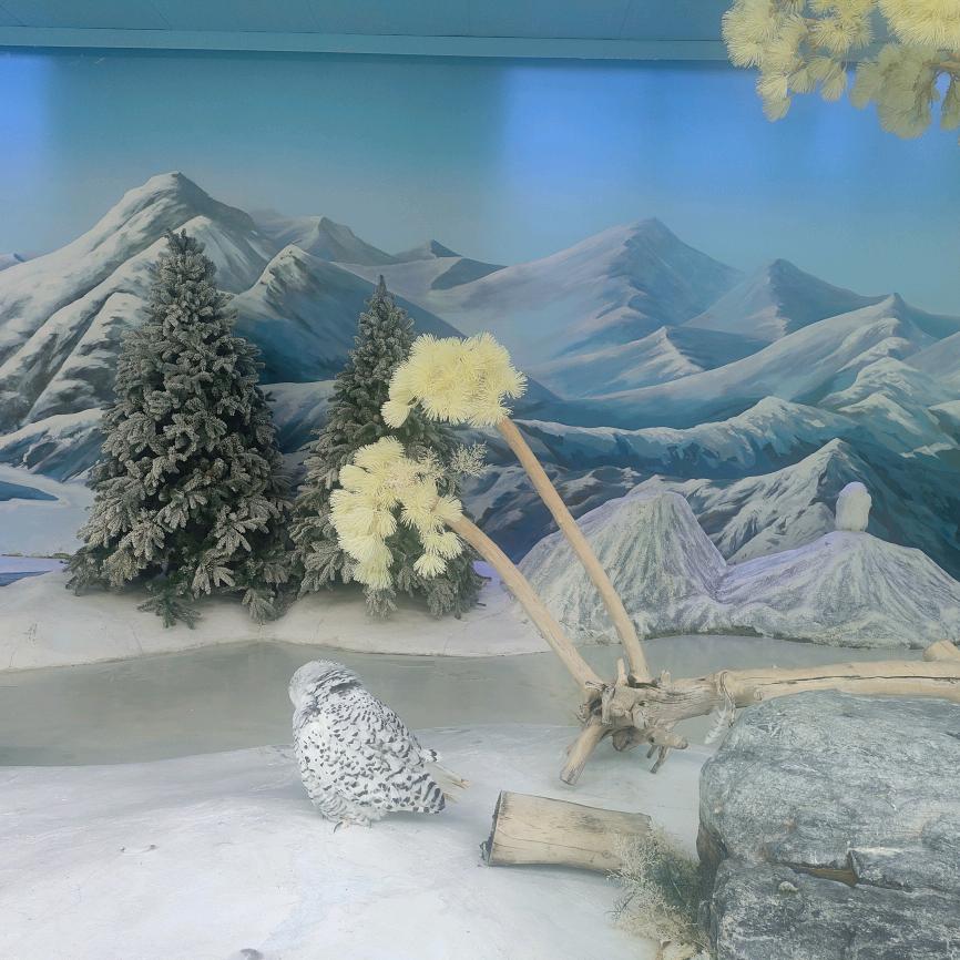 愛妳一輩子_202941148