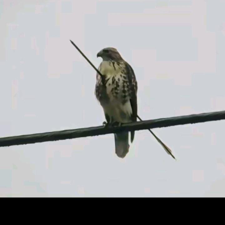 欲望是人性，克制是修养。