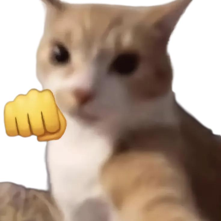 洁¿