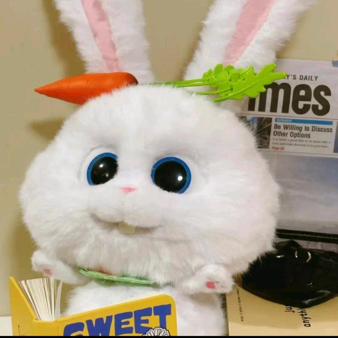 Milk玉米老师🌽