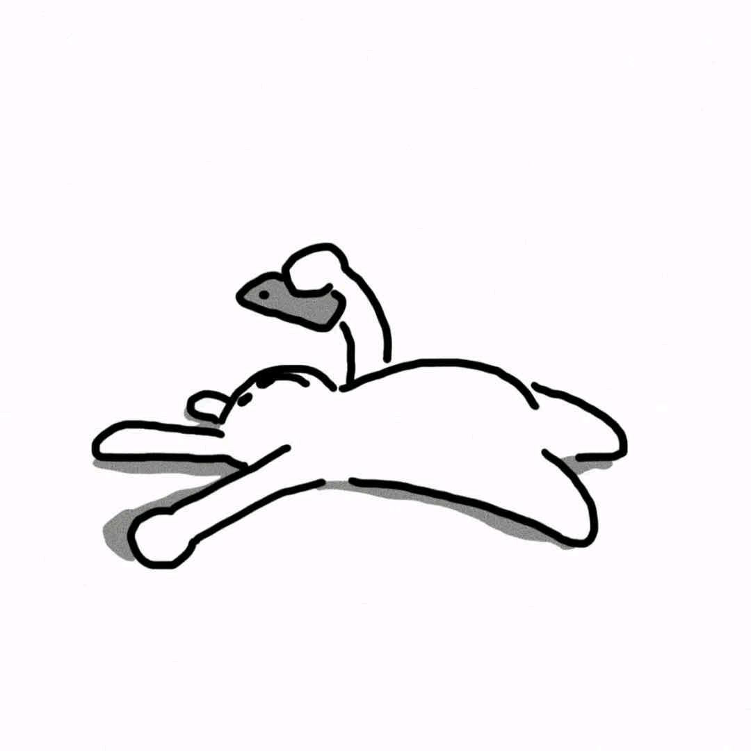 鹤阿