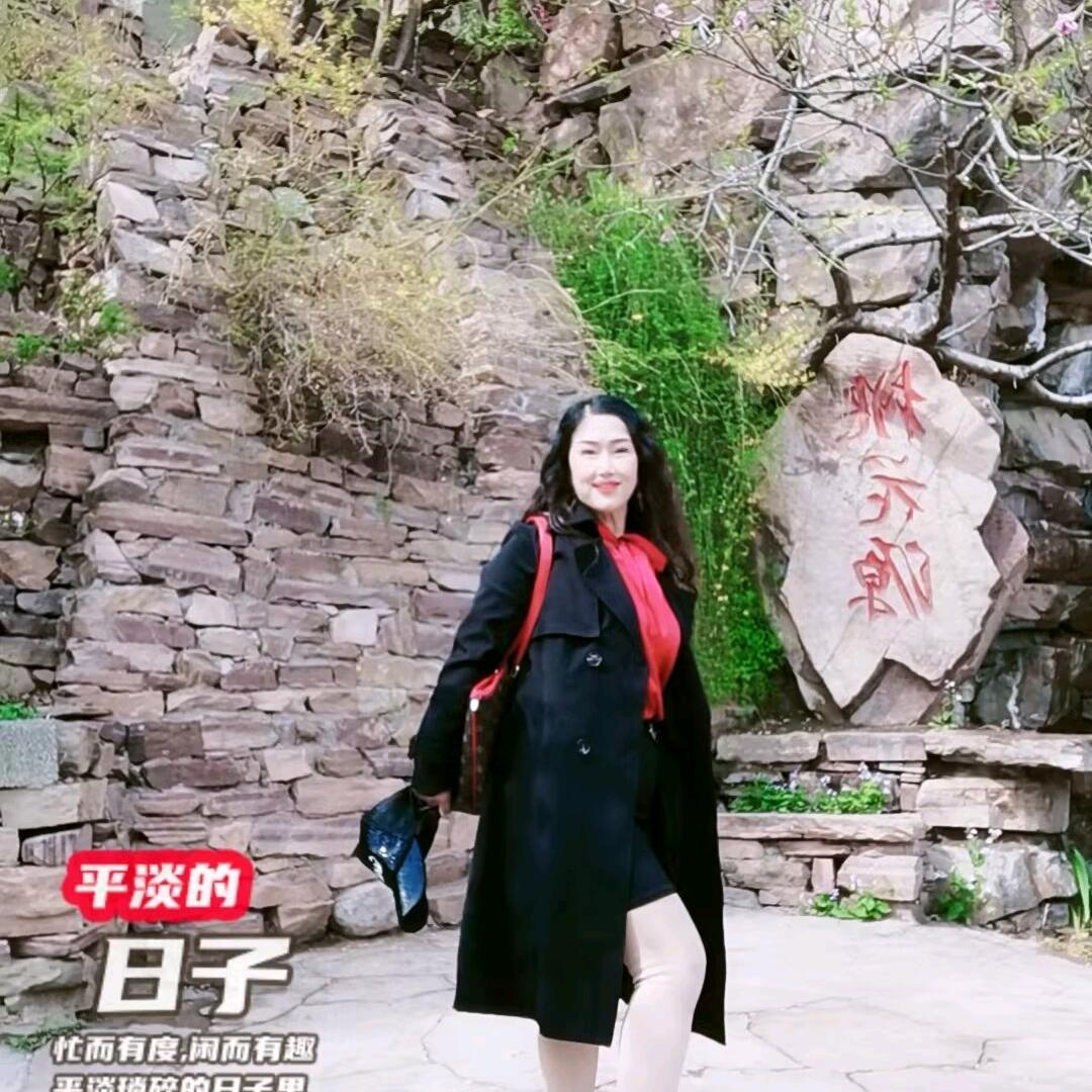 车姐