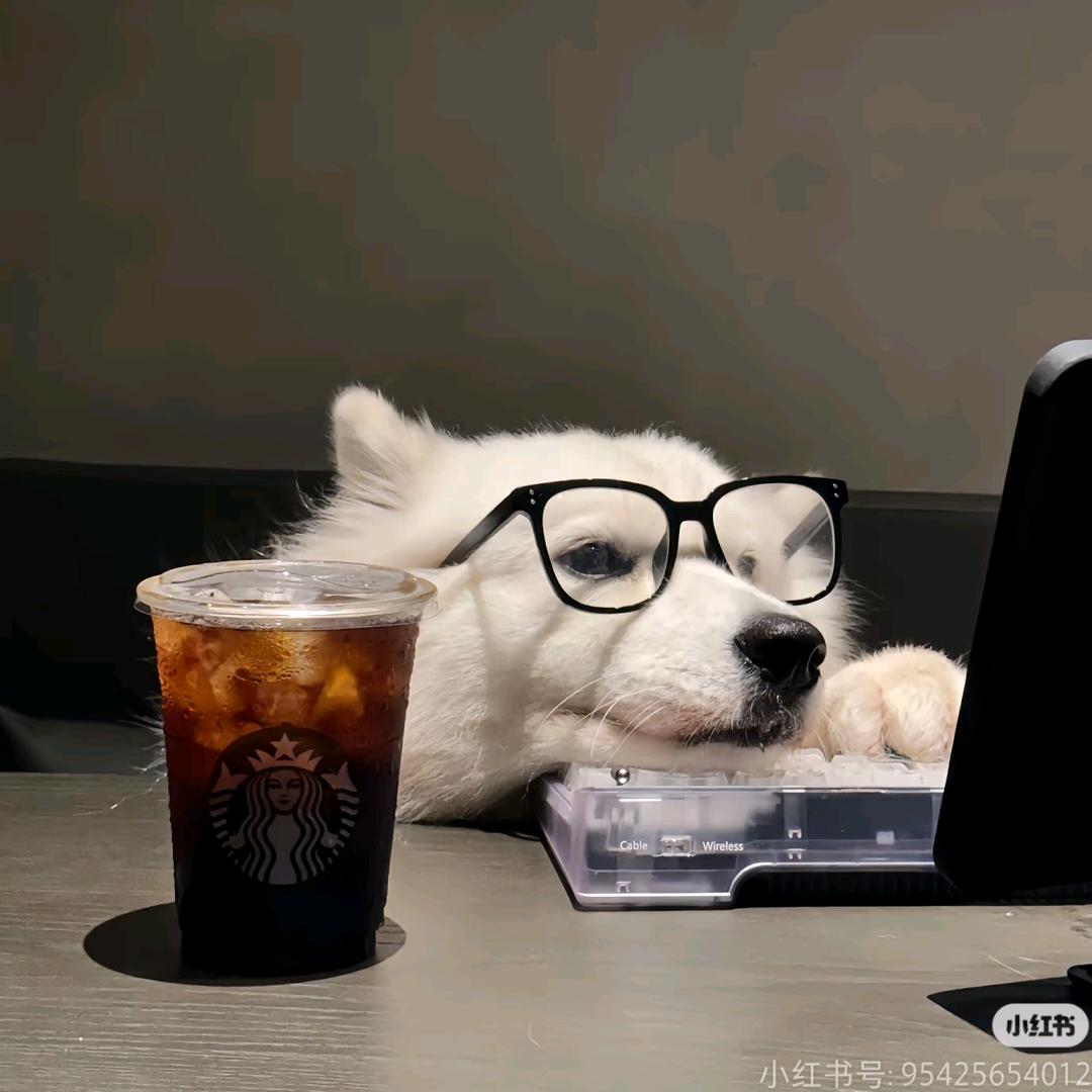 孟ۣۖิ子ۣۖิ洋ۣۖิ