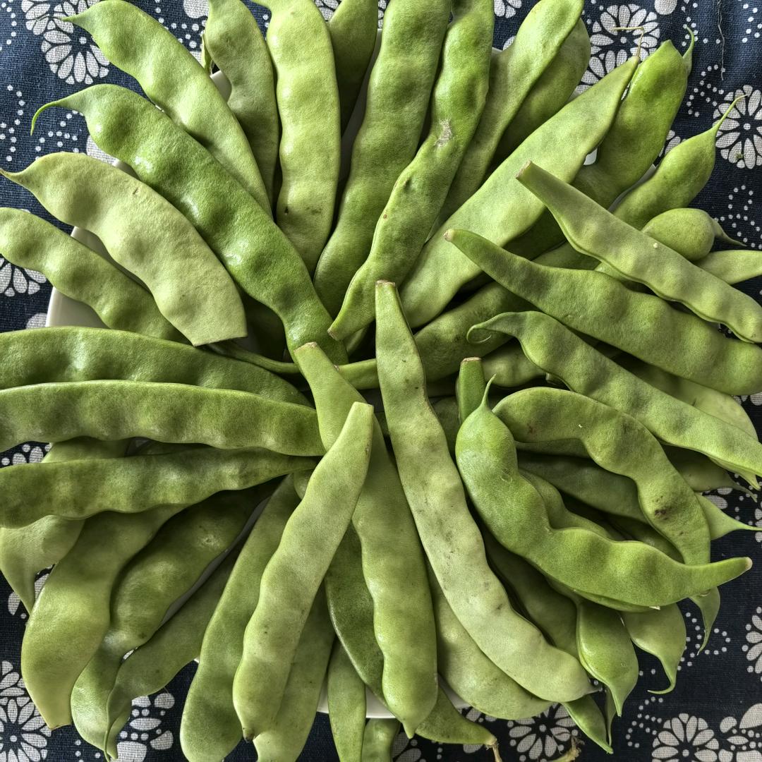 鲜时果蔬