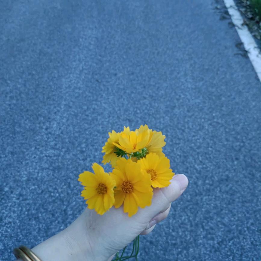 承蒙你出现