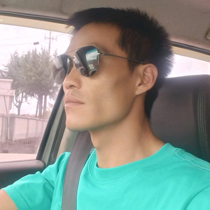 柴油电喷^O^柔刹王