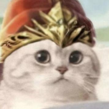 天南的数字号码