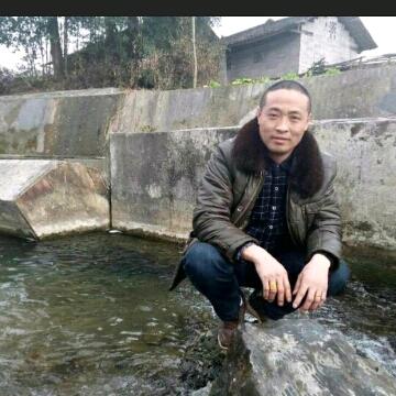 家合万事兴