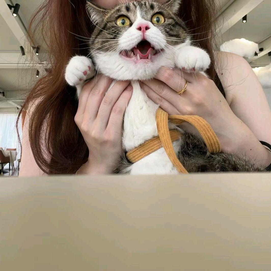 AAA奋进小冷