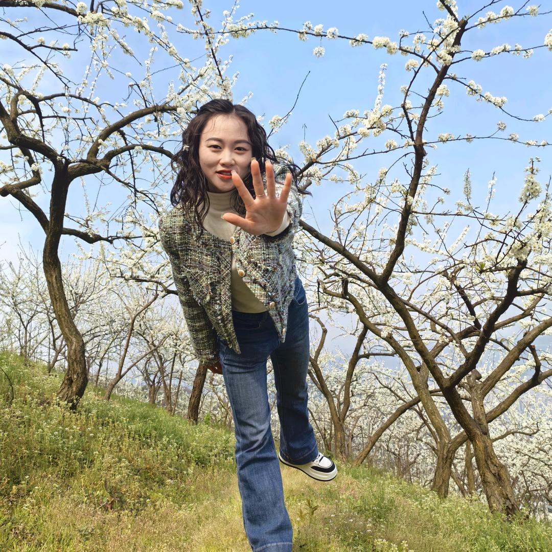 淡看人生