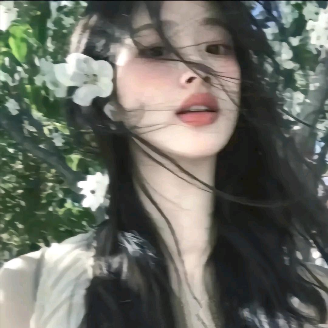 小何同学