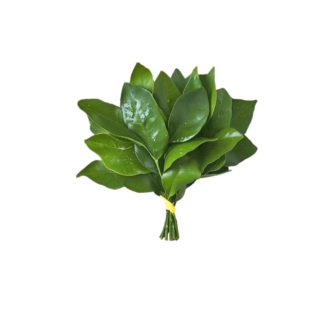 活人微死