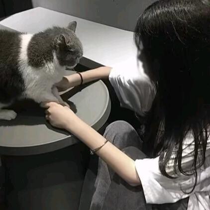 芳芳.