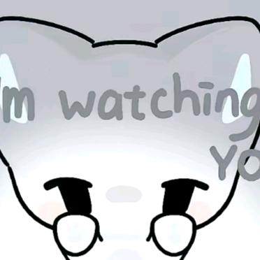 猫猫百货