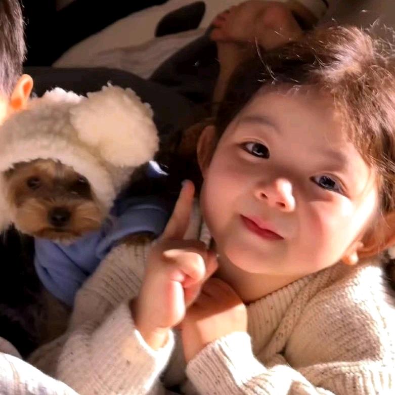 芝士奶盖千层肚