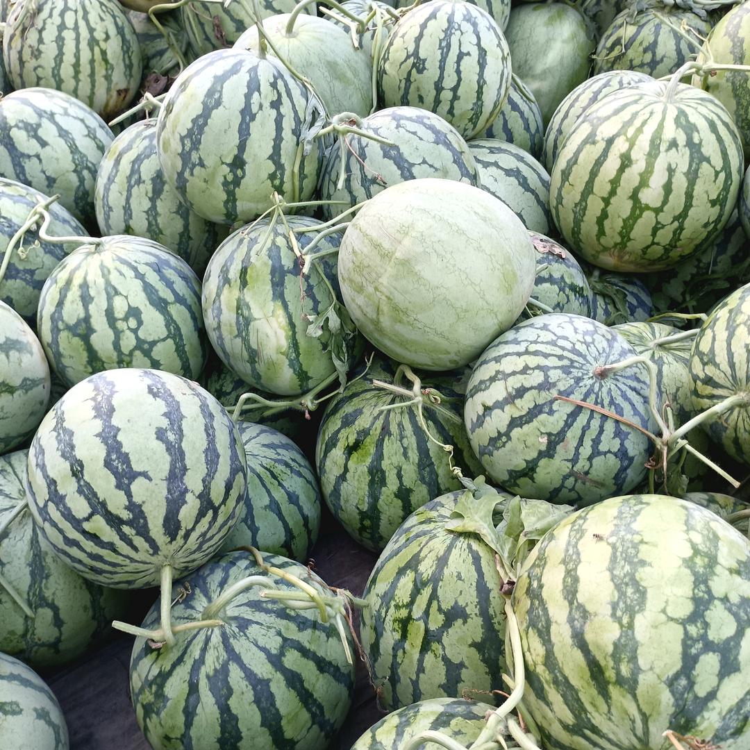 菜市场