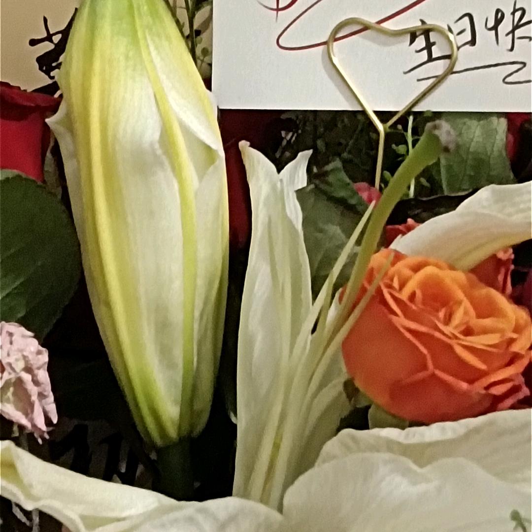 天天好