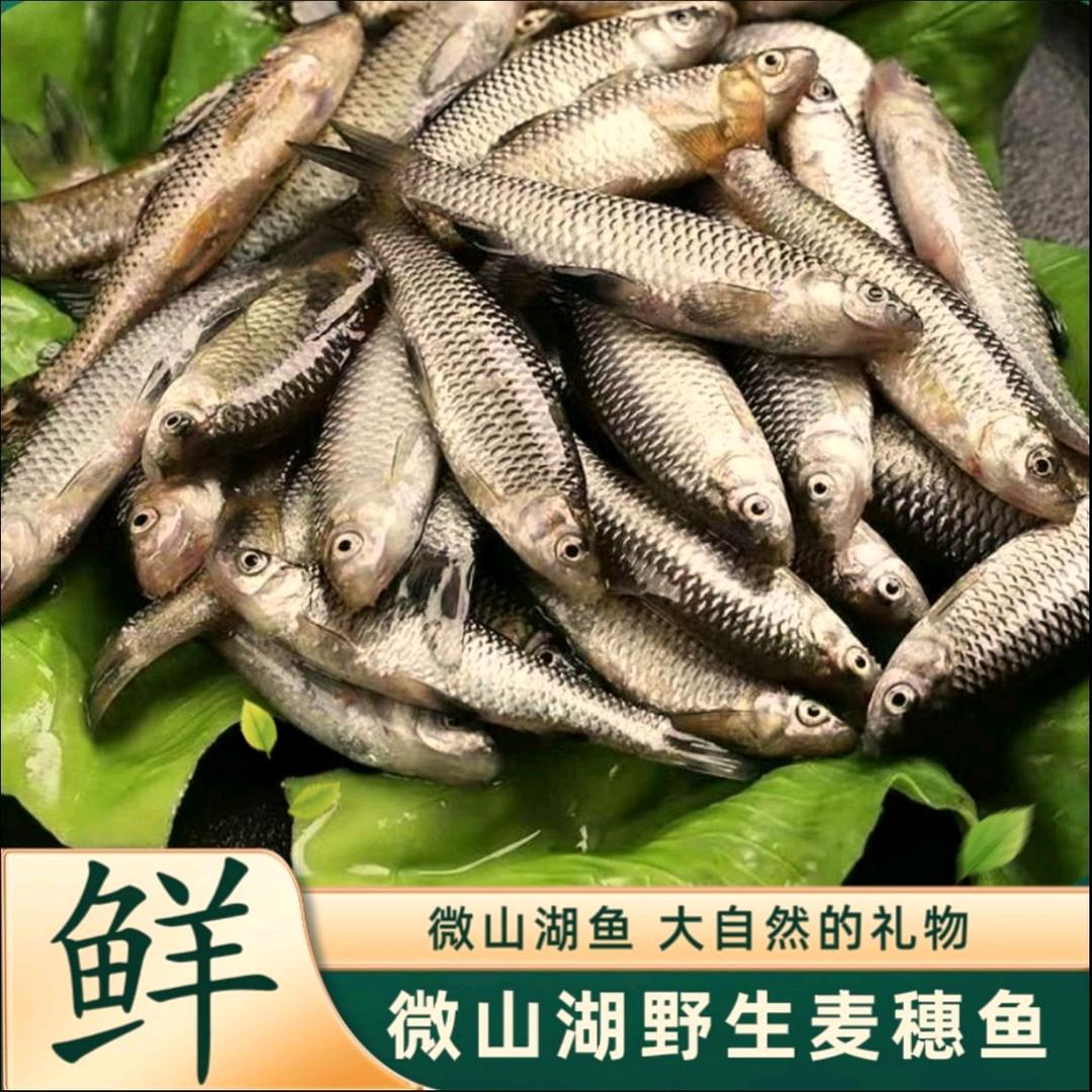 微山湖旭旭水产优品小铺