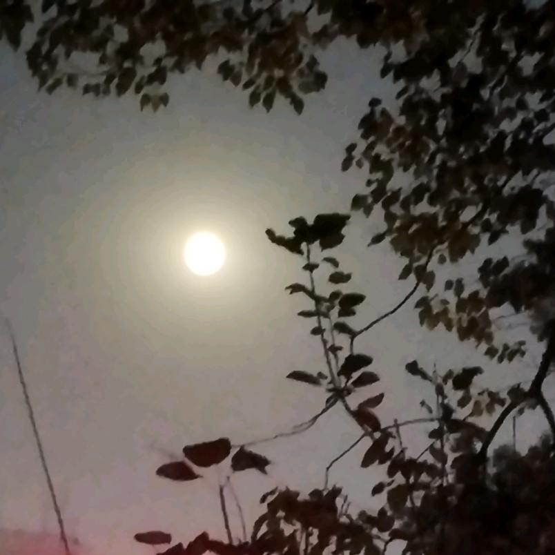 河南曲剧零工兼职刘宇航19岁🌈