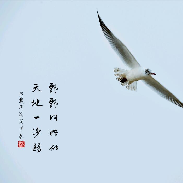 ℳ.天ོ地ོོ一ོོ沙ོ鸥ོꦿ࿐