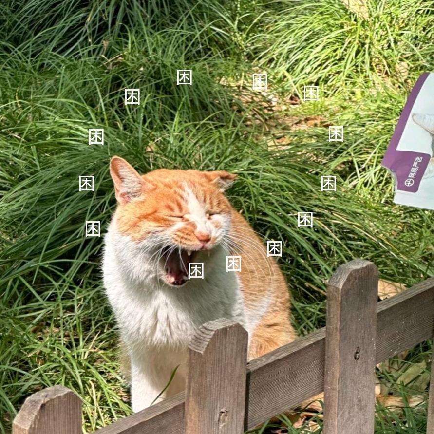 听听