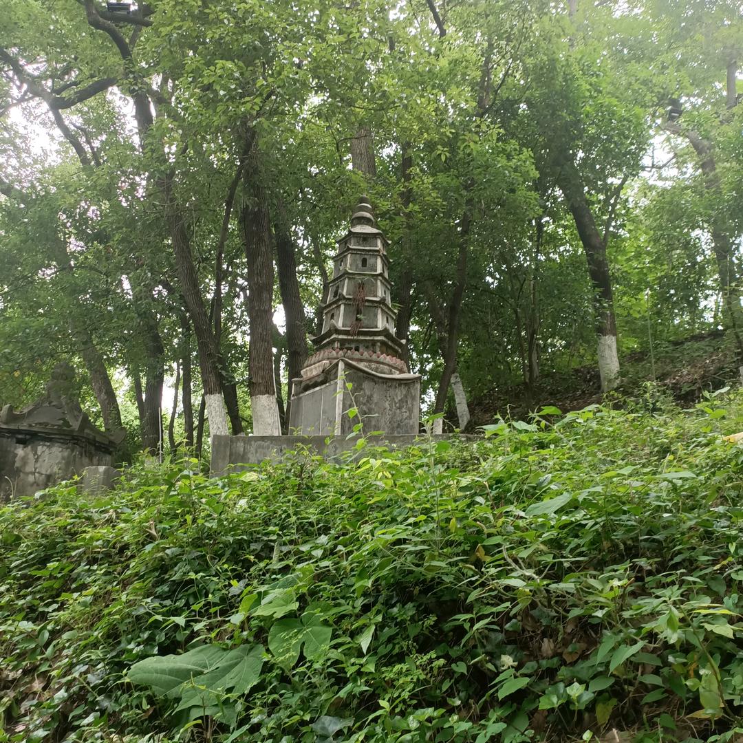 思念