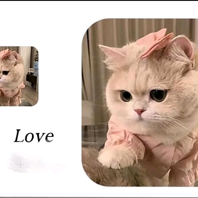 下一站守候🍒᭄💞