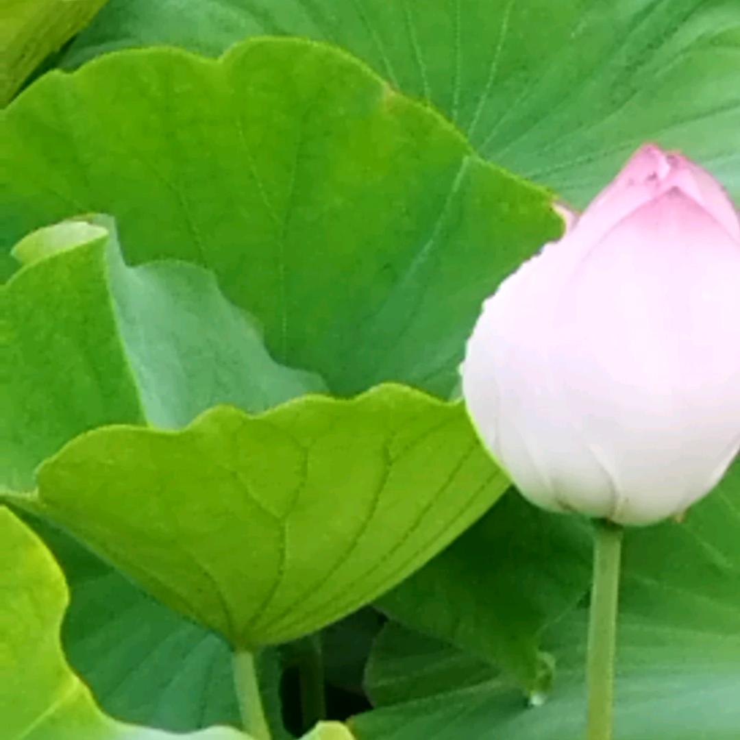 风雨