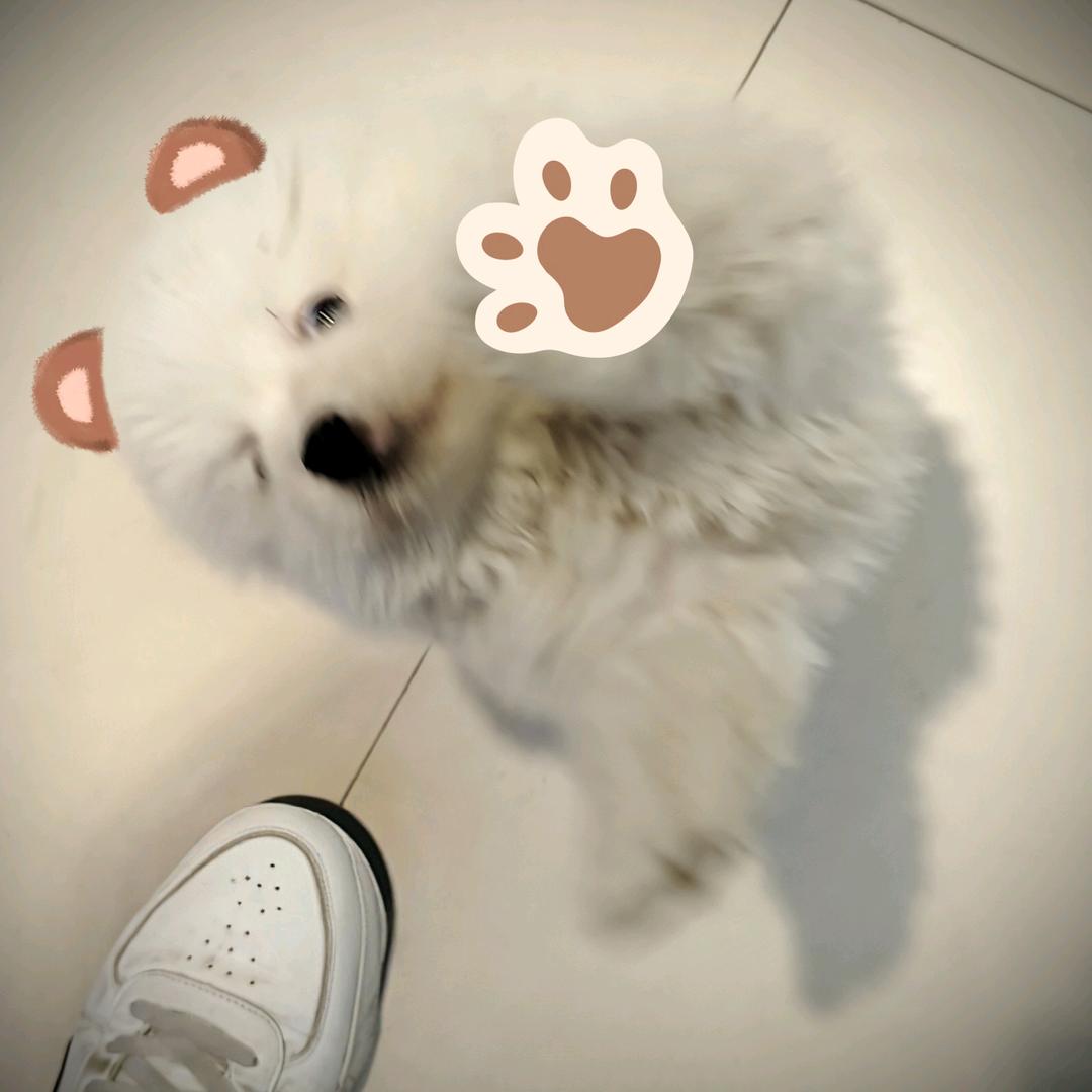 我上早八
