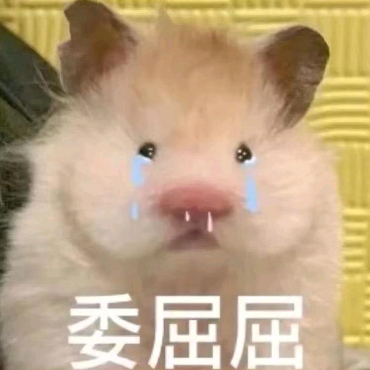 会报考的小李鸭