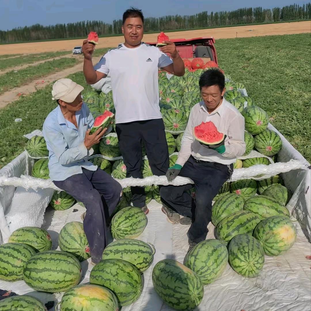 新疆西瓜代办代发，甜入密果品供应链