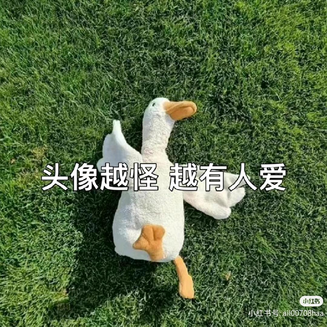 许小妞嘚张先森