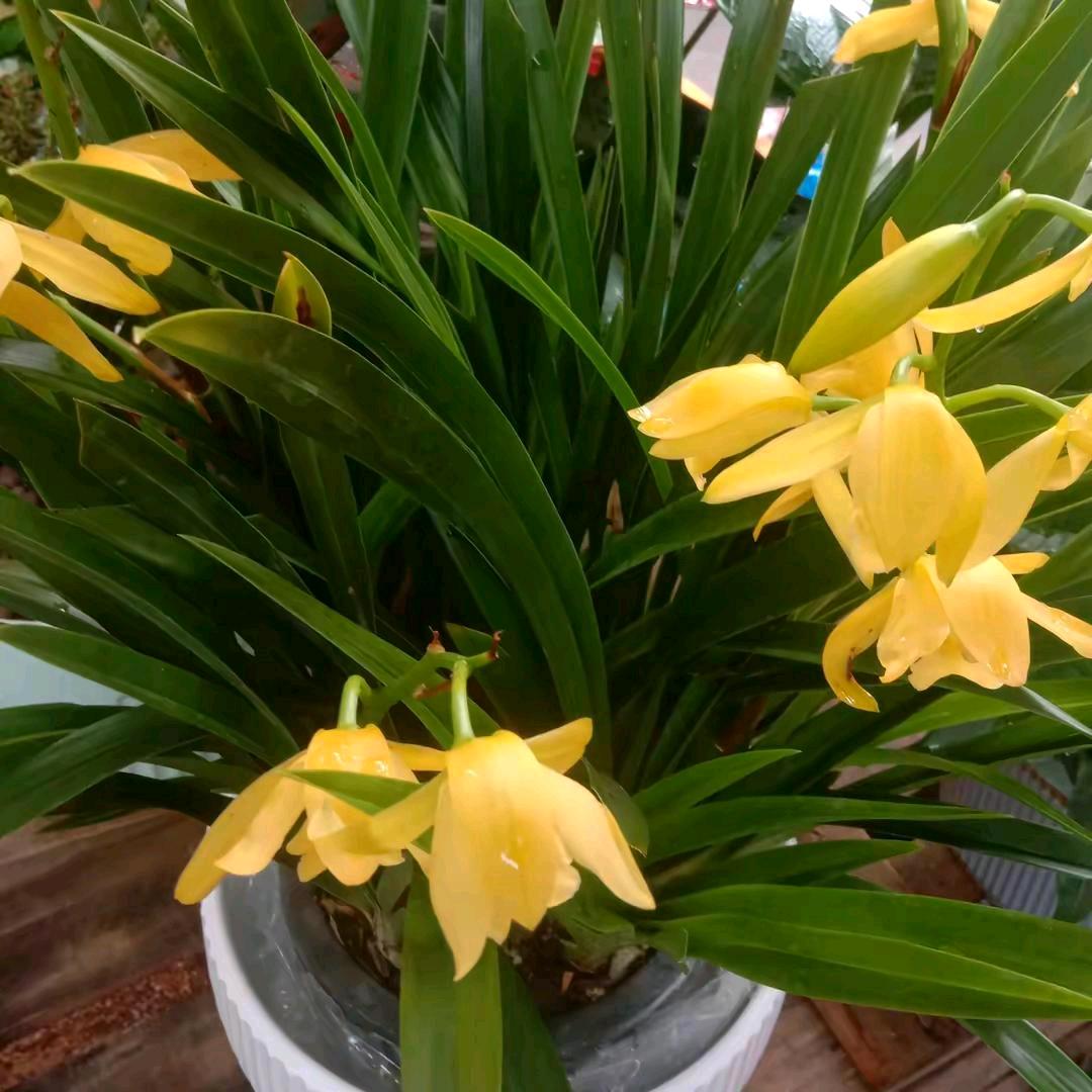 小陳勇