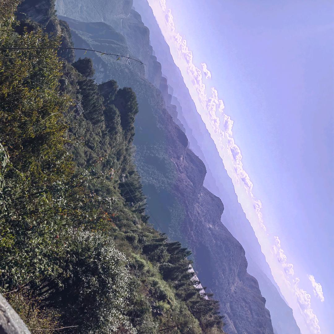 岁月静好