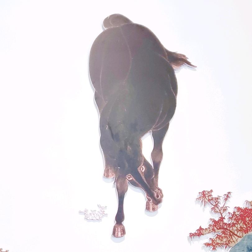 轨迹