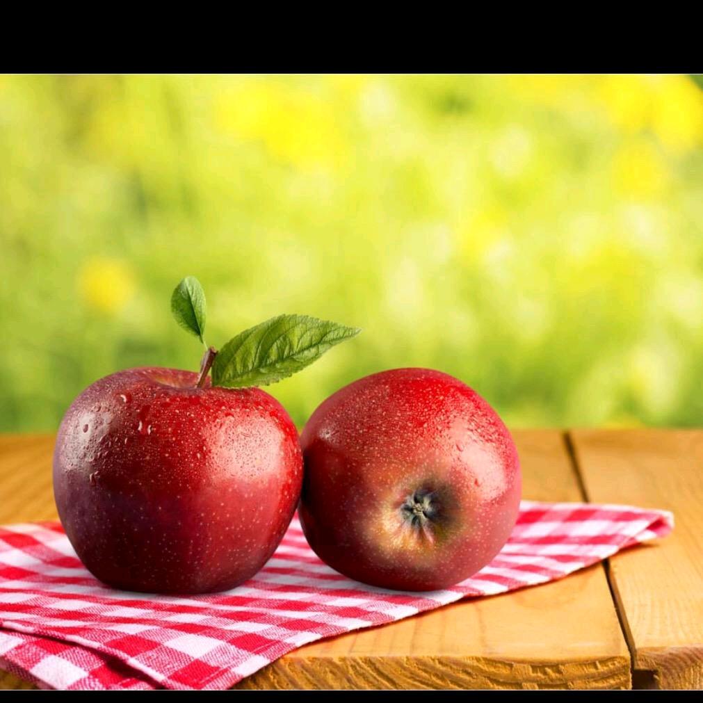 你是我生命的一首歌6916