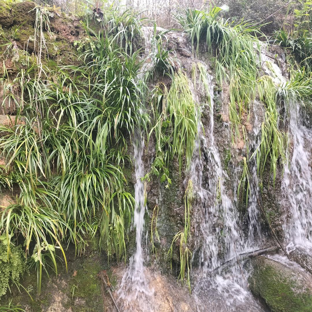 坚持到底