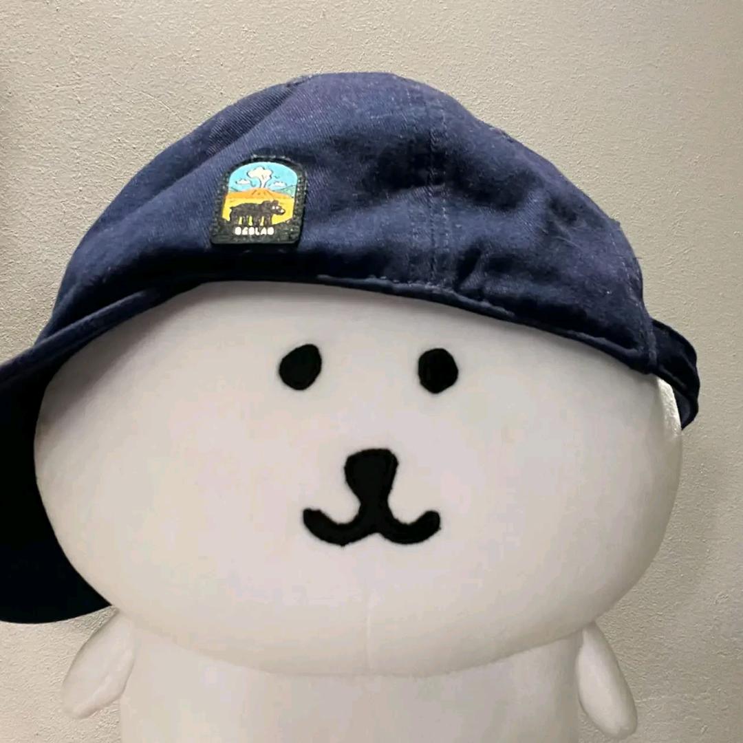 源