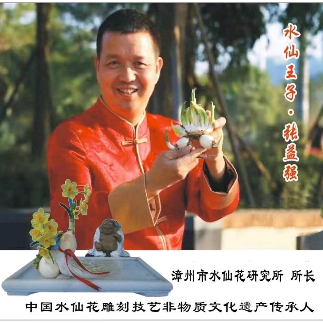 印象漳州水仙