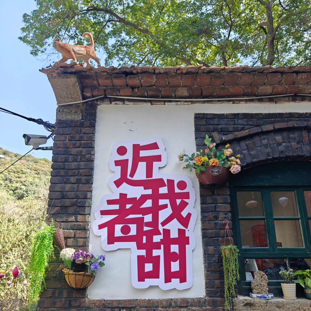 鱼鱼妈妈