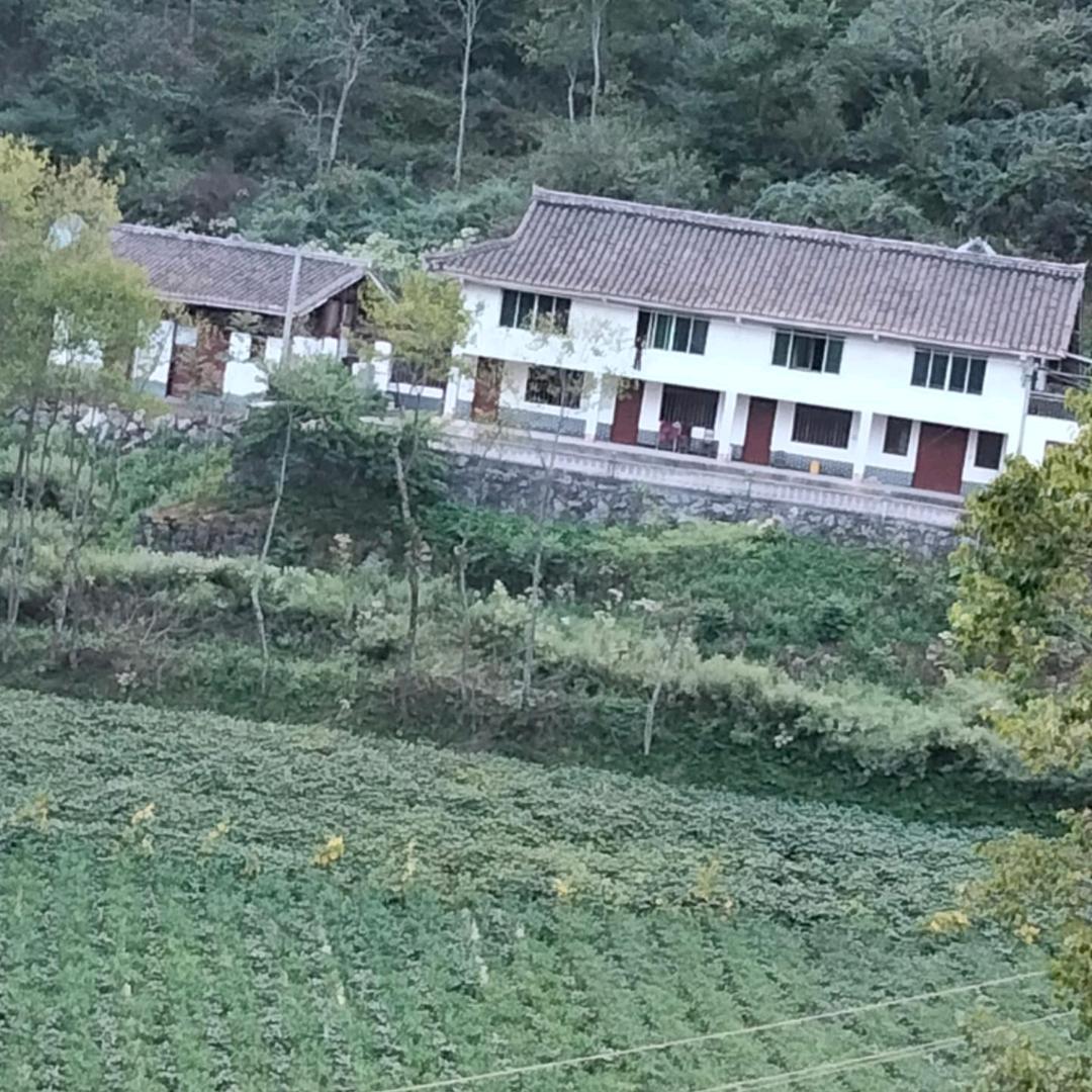 岁月如歌！