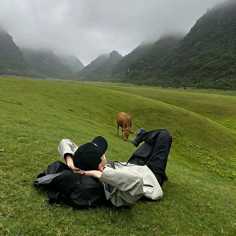 是只困屁熊●‿●